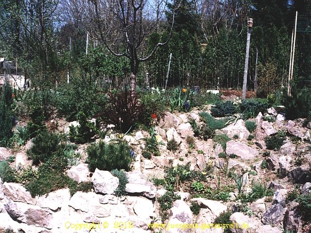 Steingarten 2 Bilder Vorschau